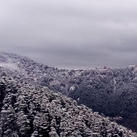 Shimla Regency 호텔 외부 사진