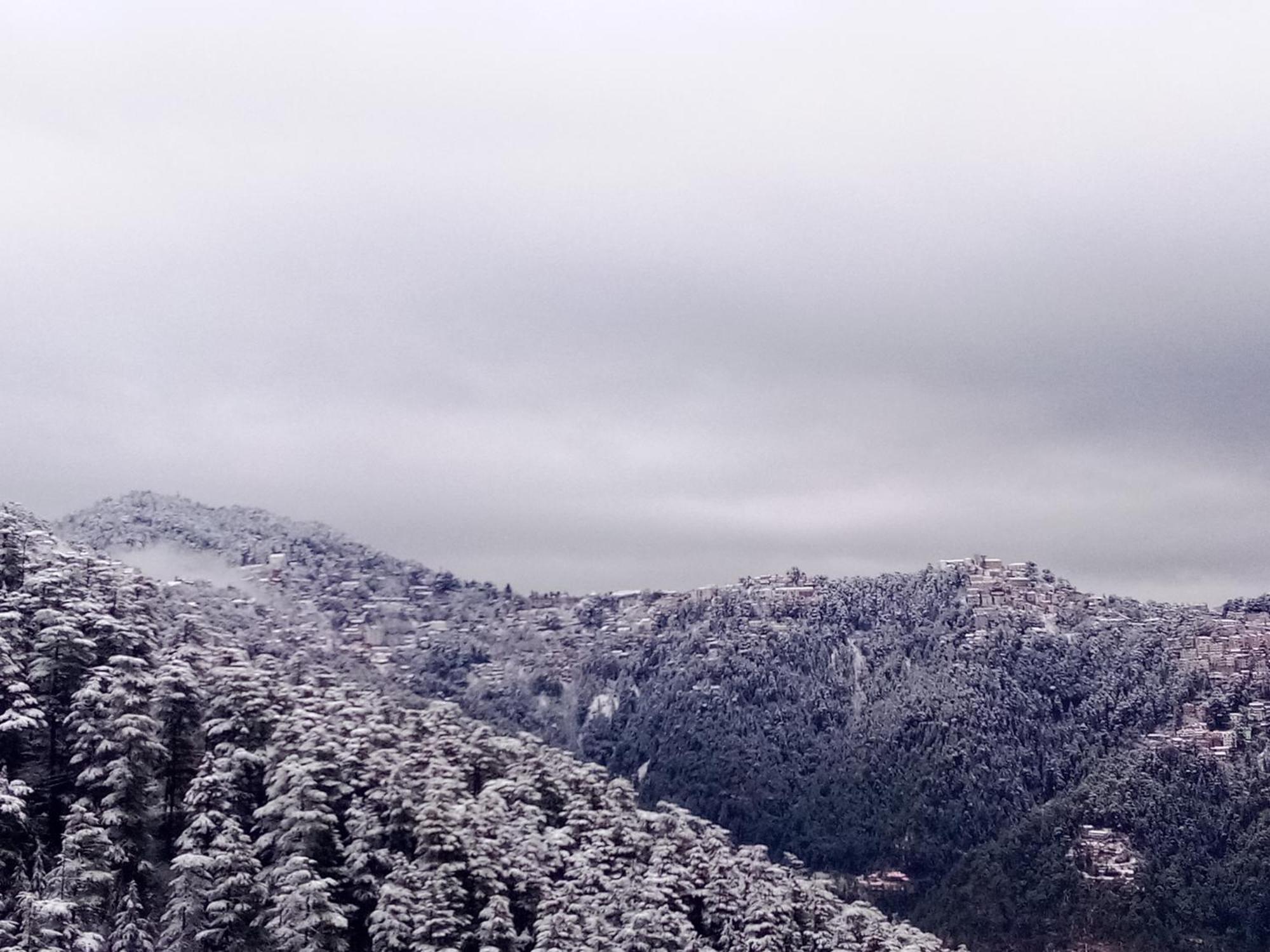 Shimla Regency 호텔 외부 사진
